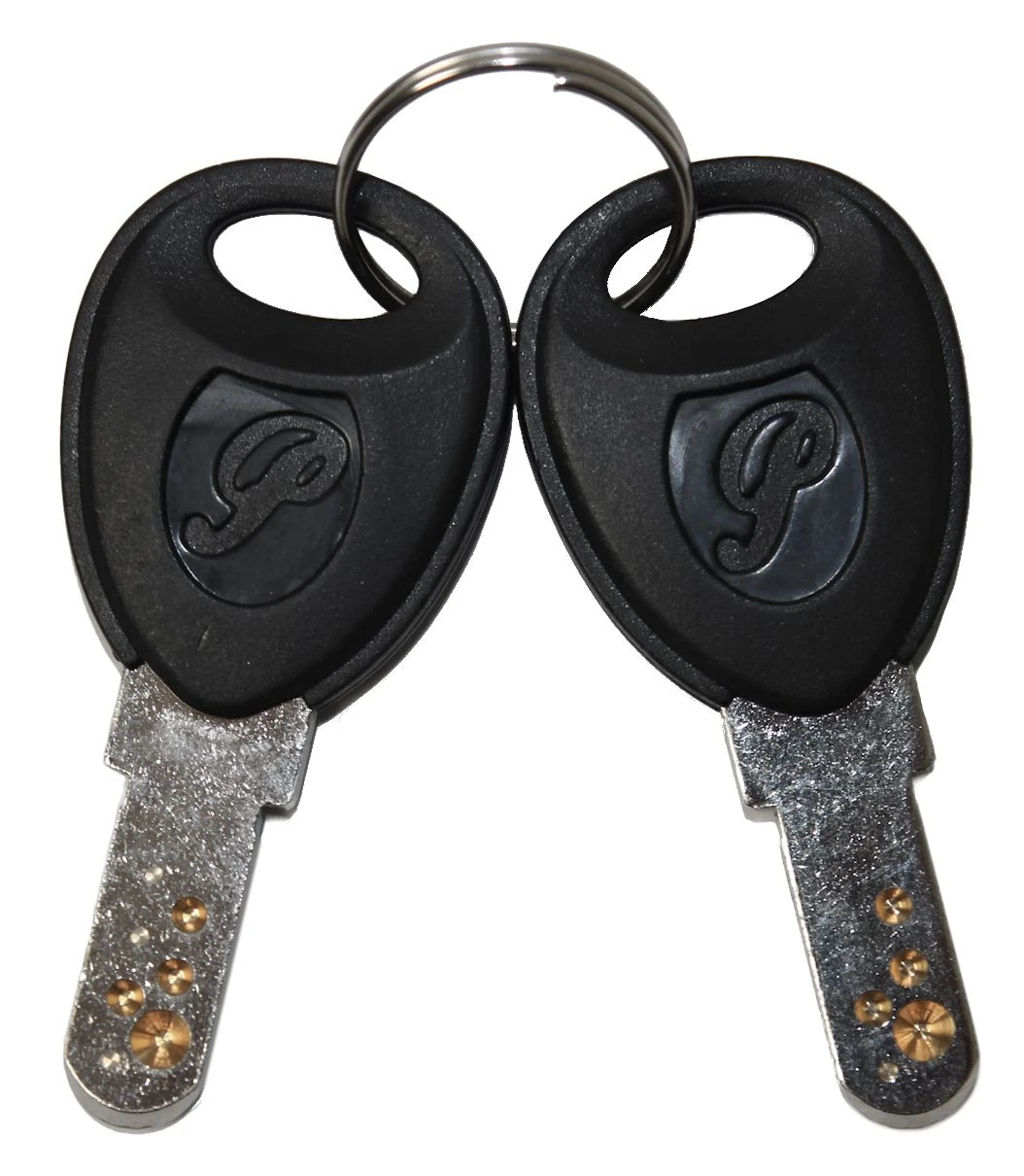 Flyer / Panasonic E-Bike Ersatzschlüssel Ab 2007 - 1 Paar 3 Flyer / Panasonic E-Bike Ersatzschlüssel Ab 2007 - 1 Paar